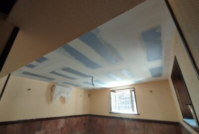 Sistema de placas laminadas en techos.